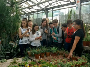 STEM DISCOVERY WEEK 2018 (video)