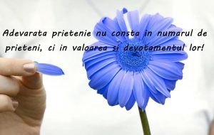 Săptămânii psihologiei cu genericul: „Prietenia online vs prietenia offline. Beneficii și riscuri”