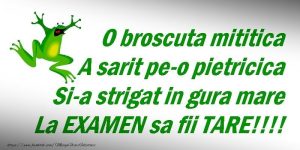 Succese la examene dragi absolvenți