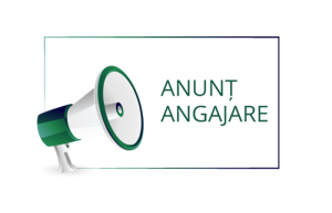 Anunț de angajare director adjunct pentru educație